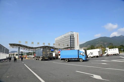 累計進(jìn)出區(qū)貨值超1884億元 清溪保稅物流中心迎來封關(guān)運(yùn)行四周年，技術(shù)進(jìn)出口成亮點(diǎn)