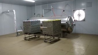 食品廠轉型良機 咸蛋廠整線設備打包轉讓，含鍋爐、殺菌鍋、洗蛋機等